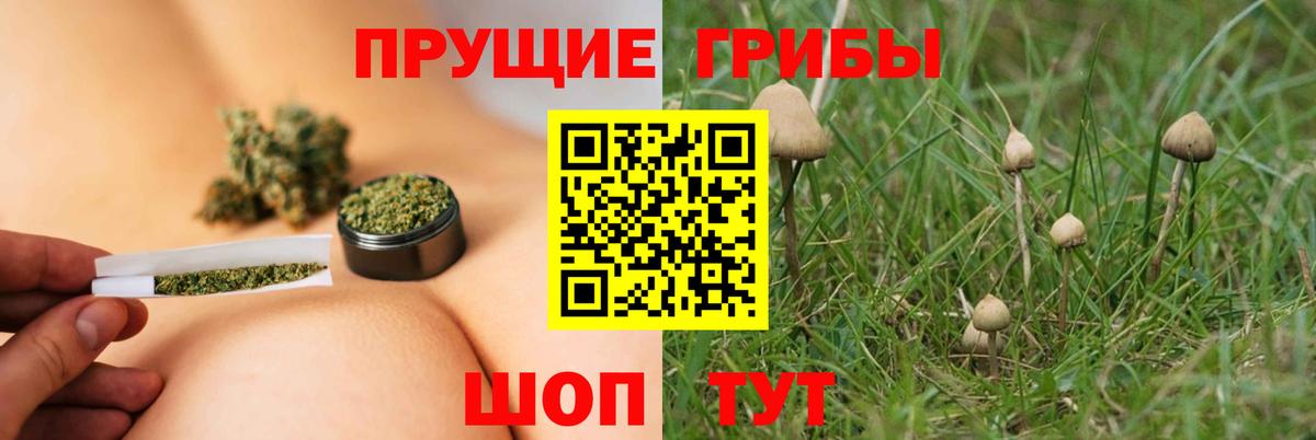 Топки  Псилоцибиновые грибы мицелий  Вход с VPN  как найти закладки  Псилоцибиновые грибы MAGIC MUSHROOMS 